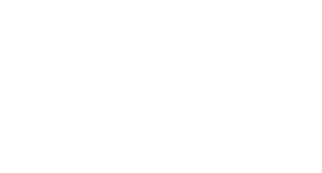 Wix logo in white